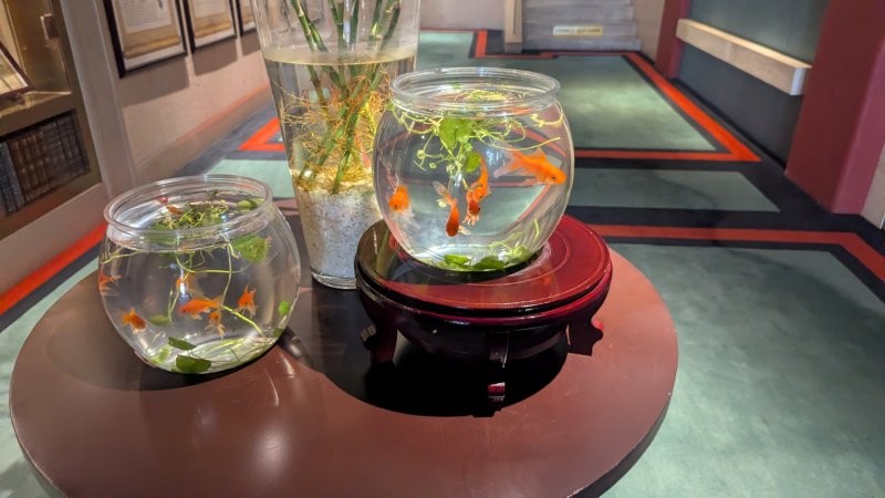 上海ホテル_锦江都城青年会经典酒店（Jinjiang Metropolo Hotel Classiq YMCA People Square）